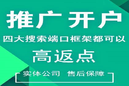竞价广告的创意与执行：某快消品的营销突破